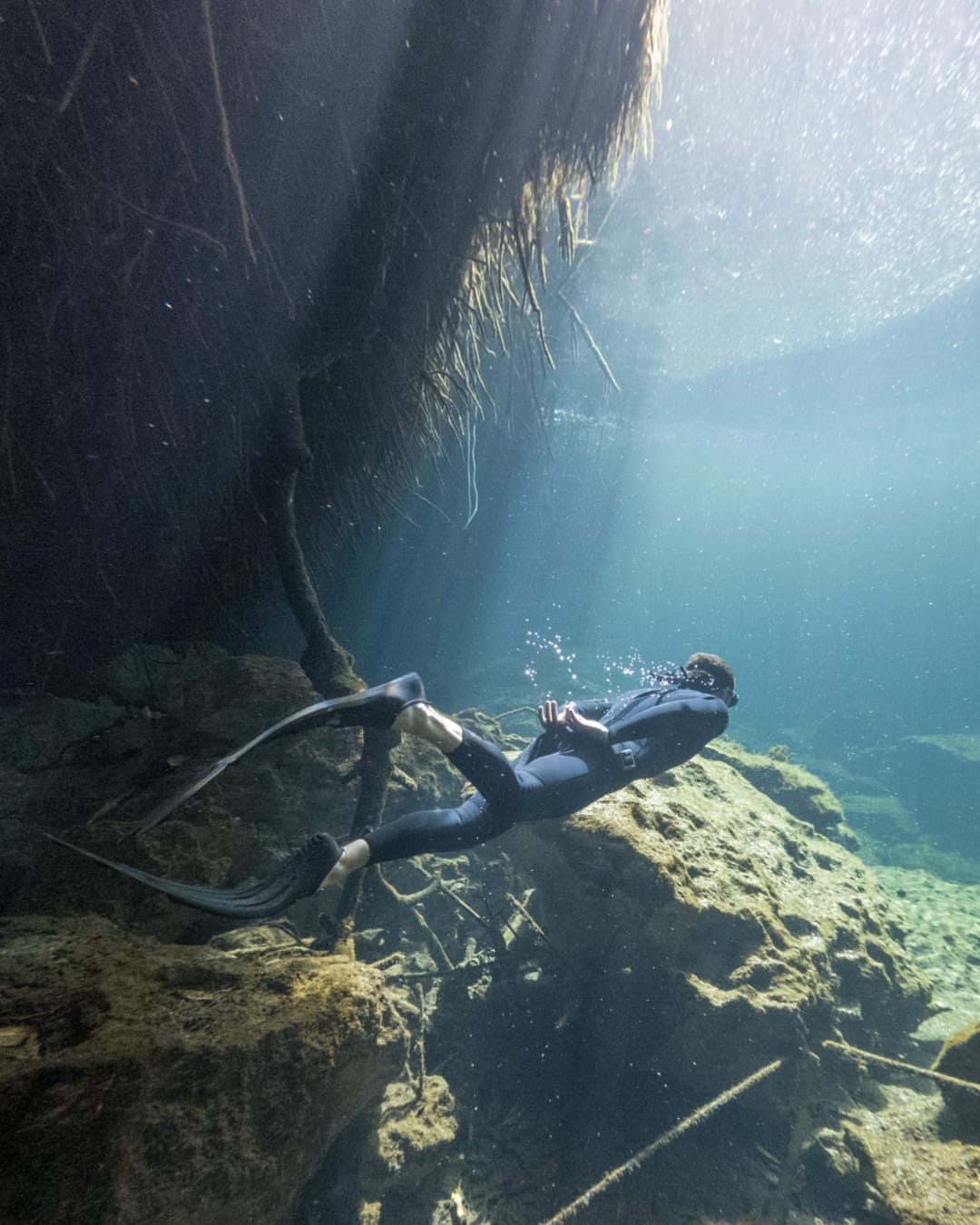 Freediver-course-contents