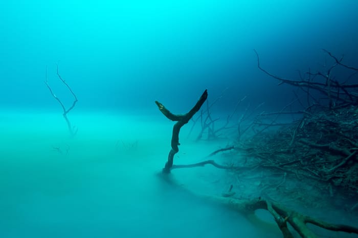 Cenote Angelita Tulum