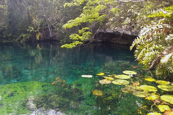 cenote tulum